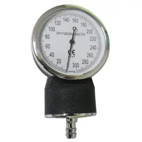 Greatmade 611885151635 2 Piece/bag Blood Pressure Display Gauge 300mm Hg For Aneroid Sphygmomanomete