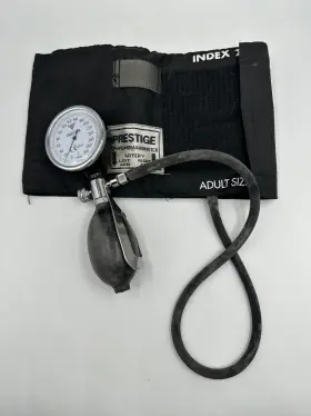 970-2s378 Riester Precisa Sphygmomanometers Blood Pressure Manometer 0124