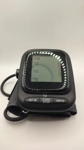 Aes-u121 Sunbeam Talking Blood Pressure Monitor Battery Or Usb-c Powered