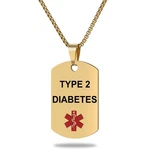 Medical Alert Id Necklace, Laser Engraved Type 2 Diabetes, Stainless Steel Tag. Fixed Price $30.73.